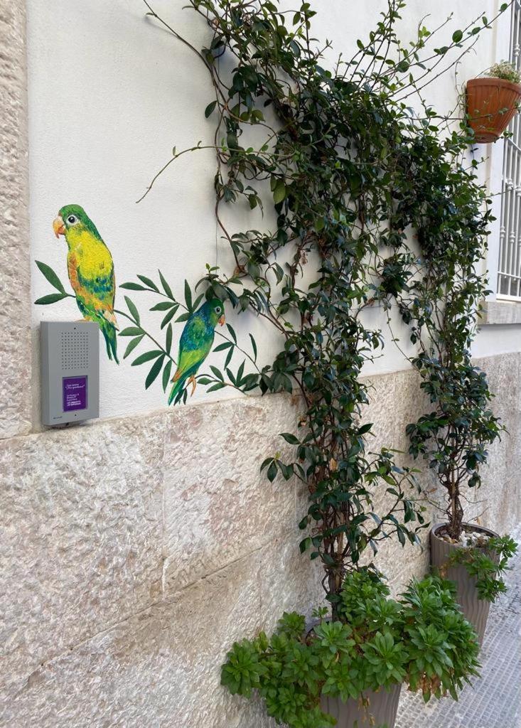 Iris Apartment Bisceglie Ngoại thất bức ảnh